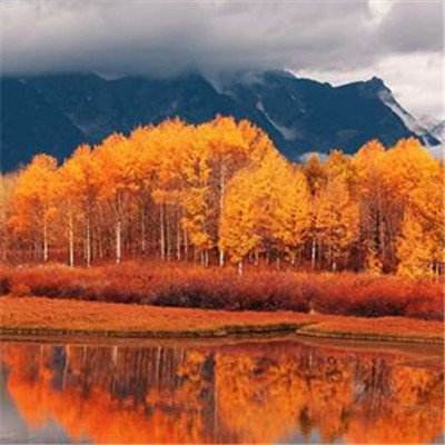 伊军方人士：若遭挑衅或开启其他战线